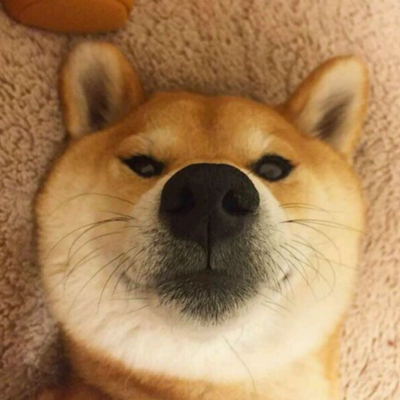 s0rry